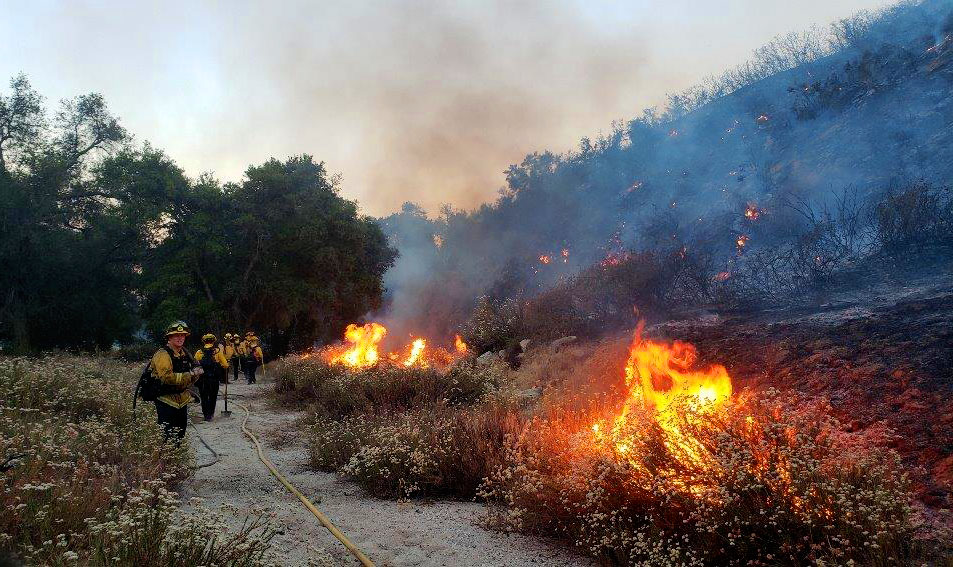Pechanga firefighters working a line beside burning brush on a hillside